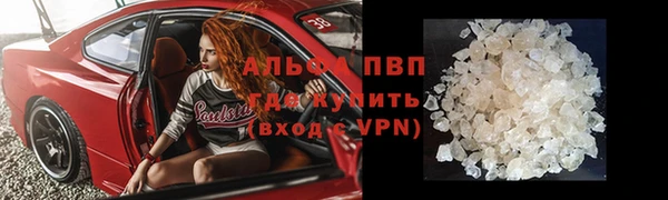 гидра Кукмор