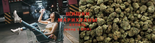 гидра Кукмор