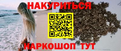 амф Гатчина