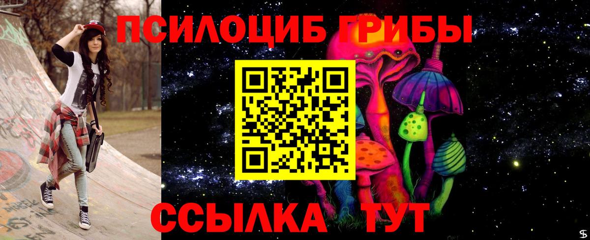 Псилоцибиновые грибы Psilocybine cubensis  Михайловка 