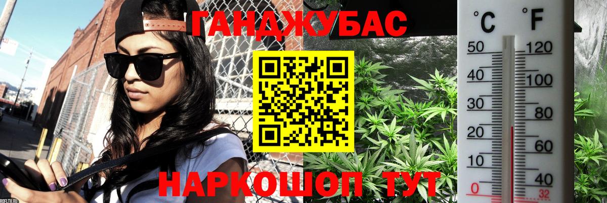 Бошки марихуана сатива Михайловка